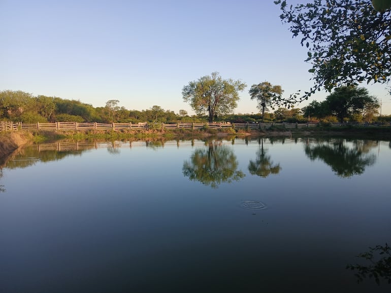 Los tajamares y reservorios vuelven a acumular agua en el Alto Paraguay tras las últimas lluvias.