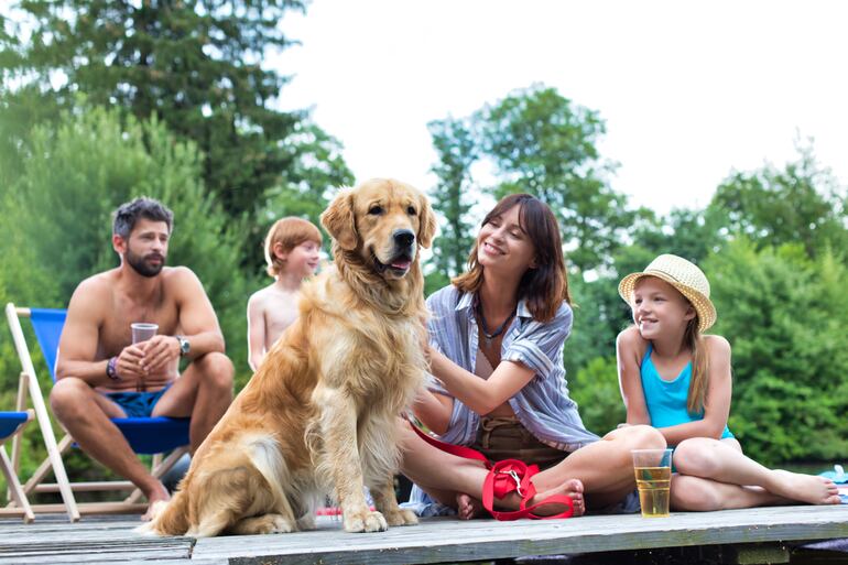 Golden Retriever con su familia.