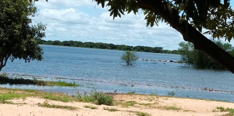 Pequeños productores de ganados de Cerrito, sacan sus animales de las islas  ante el avance de las aguas del río Paraná.