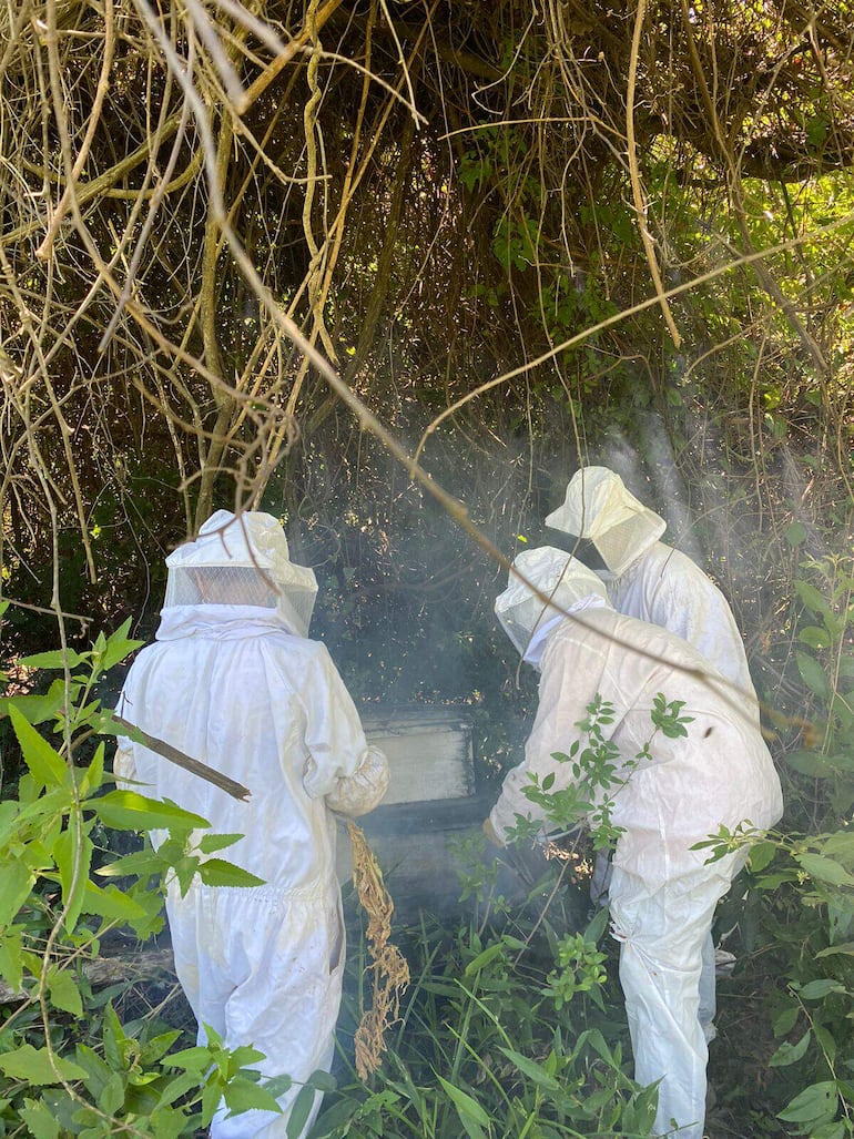 Apicultores se preparan con 1.500 kilos de miel que tienen gran esperanza en comercializar durante la Expo Frutas.