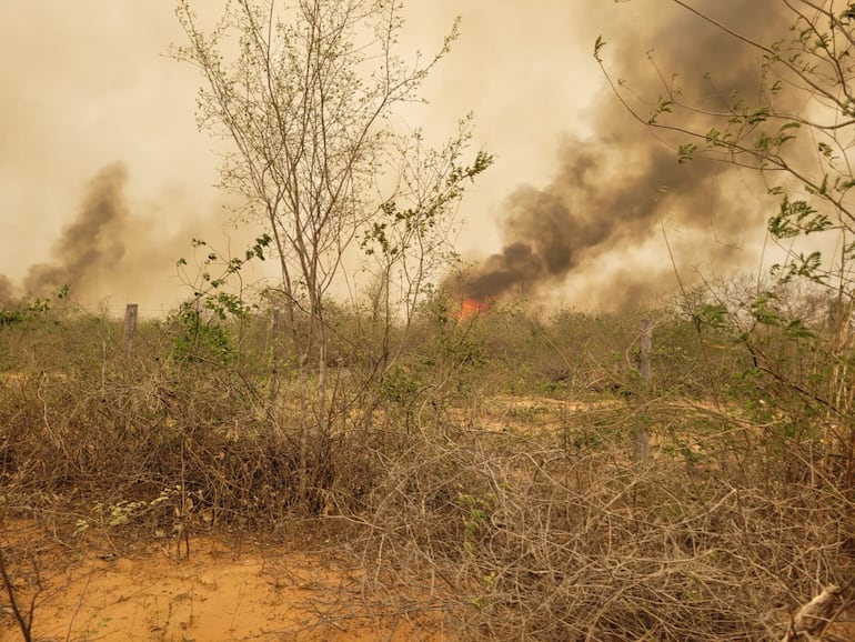 Fuego ya consumió 2.400 hectáreas del Monumento Nacional Cerro Chovoreca