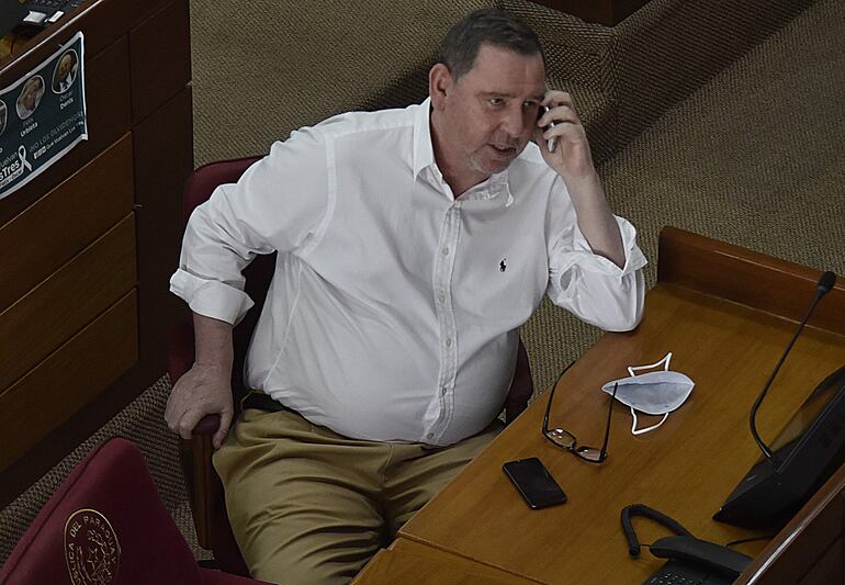 Javier Zacarías Irún (ANR) en la Cámara de Senadores.