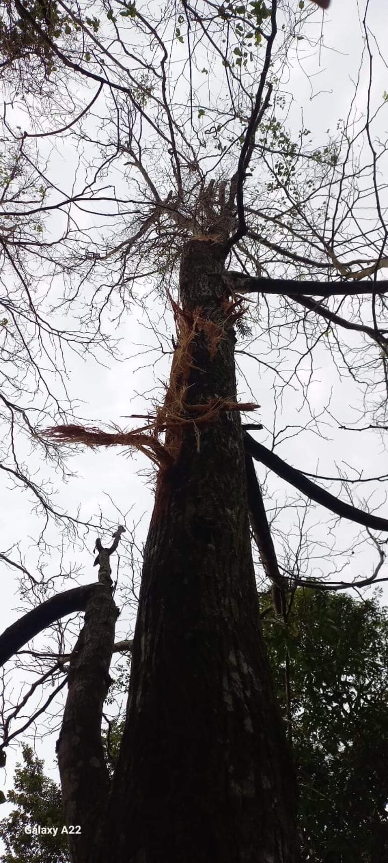 Caída de granizo en Itapúa.