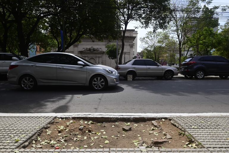 Huecos en varios puntos de la Plaza de la Libertad.