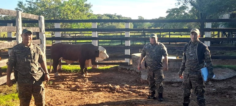 Las tres brigadas antiabigeato que operan en el departamento de Paraguarí no dan abasto para hacer frente a los abigeos.