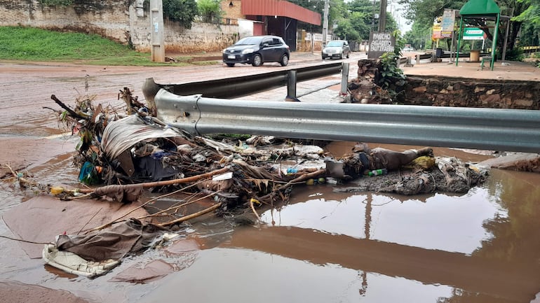 Gran cantidad de basura y ramas fueron arrastradas por el temporal de ayer sobre la avenida Pratt Gill de Ñemby.