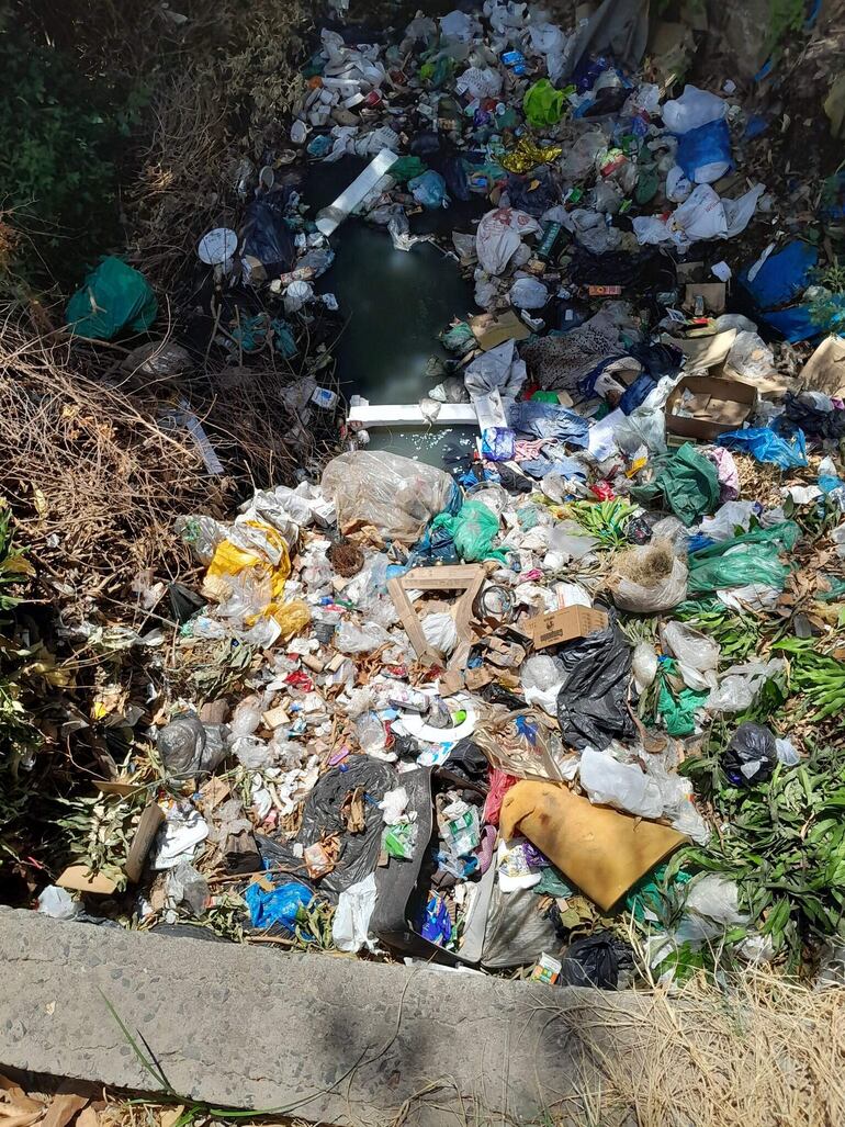 Las aguas del arroyo son negras, lo que demuestran el grado de contaminación.