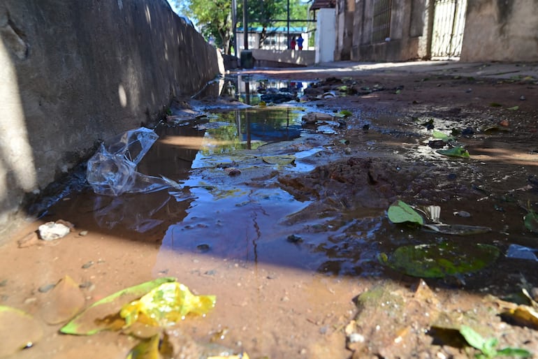 Caño roto en la vereda de la calle Gondra casi Tacuary, en el barrio Ricardo Brugada. La pérdida de litros de agua potable se da desde hace meses, según vecinos.