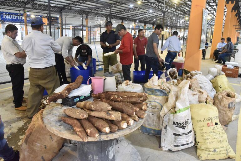 Los productores de la zona tienen un amplio y cómodo lugar para vender sus productos.