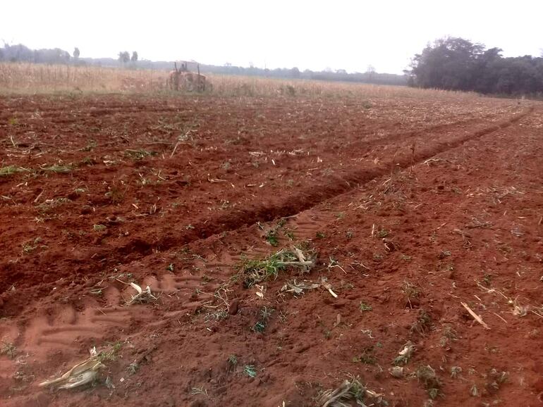 En estos momentos, los agricultores se encuentran trabajando en la preparación de las parcelas.