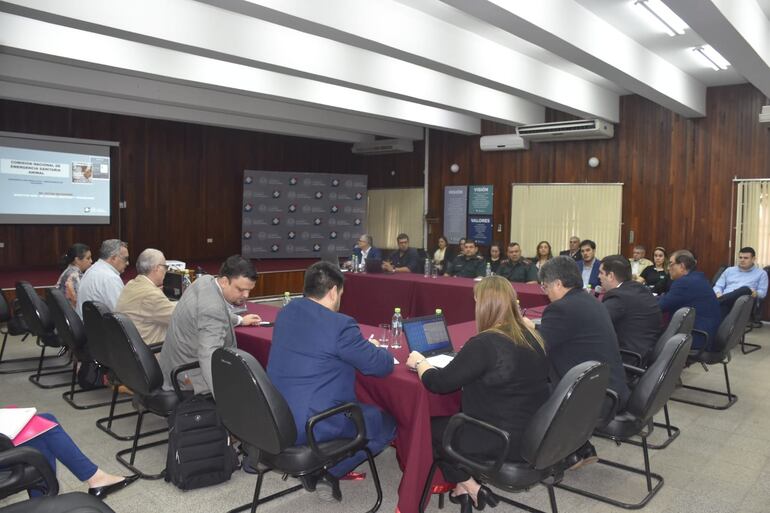 Reunión de la comisión Sinaesa, en Senacsa.