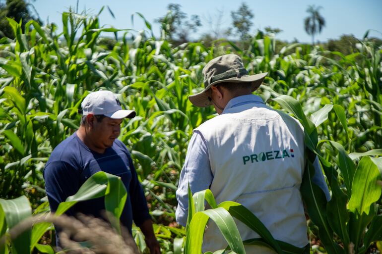 DE USO EXCLUSIVO PARA EL ESPECIAL. Miembros de la comunidad indígena Ka ́aty Miri San Francisco, ubicada en Caapibary, San Pedro, a unos 240 kilómetros de Asunción. Los integrantes logran salvar sus cultivos de yerba y plantaciones de variados productos para venta y autoconsumo, en medio del avance del monocultivo de soja, el uso de venenos dañinos y la cruda sequía que afecta a la zona.