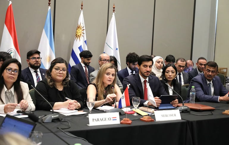 Paraguay participó de reunión del Mercosur con Emiratos Árabes.