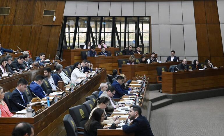 Cámara de Diputados.