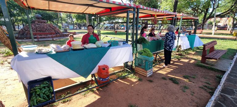 Feriantes Sanjuaninos realizan su tradicional feria granjera.