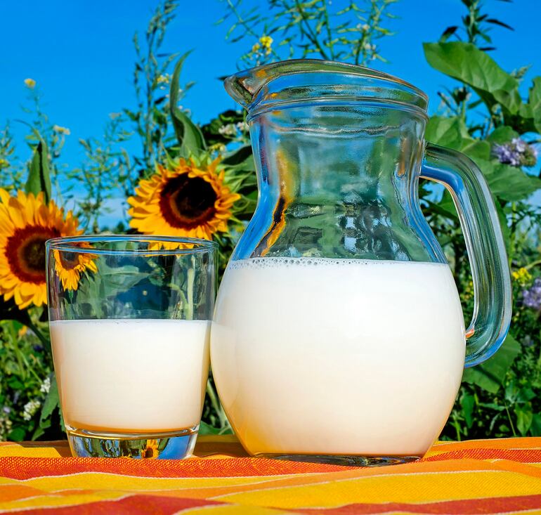 La leche aporta cantidades necesarias de calcio, que ayuda a fortalecer los huesos y dientes.