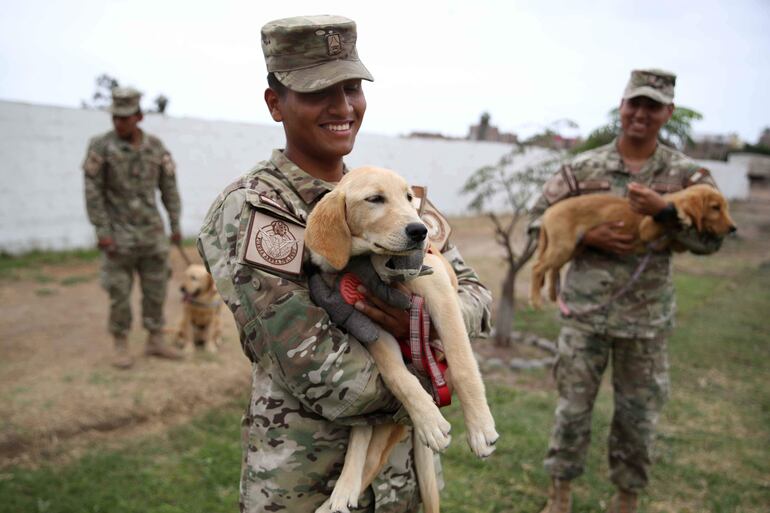 A cada perro le es asignado soldado que será su "binomio". 
