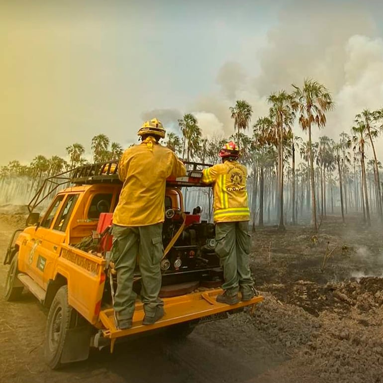 Bomberos voluntarios del Paraguay, en plena tarea de combatir el fuego en el Chaco.