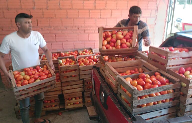 Productores de tomate de nuestro país tienen problemas para vender a causa del contrabando.