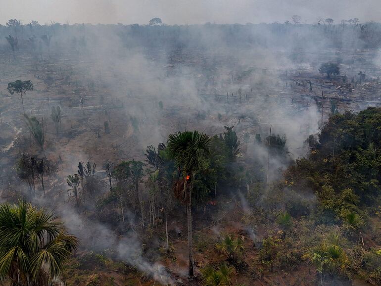 Incendio forestal consume la floresta cerca de la Transamazónica, de la BR-230.