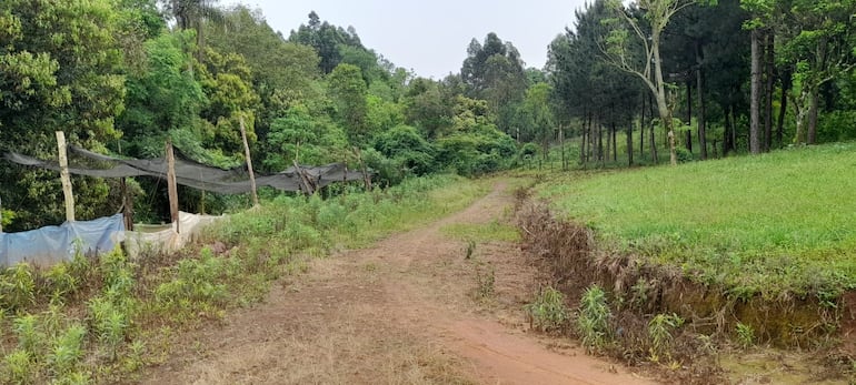 Pobladores de Trinidad y Capitán Miranda denuncian abandono de las autoridades.