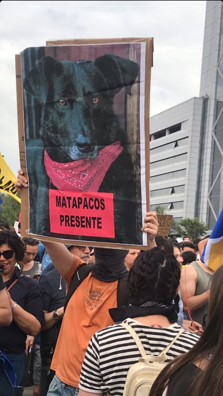 «Matapacos presente». En estos últimos tramos del 2019, en efecto, el negrito, fallecido en el 2017, ha estado presente en muchos carteles durante las protestas.