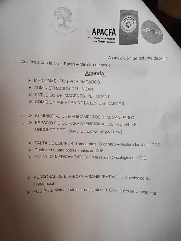 Temas que fueron tratados esta tarde por las asociaciones oncológicas con la ministra de Salud, María Teresa Barán.