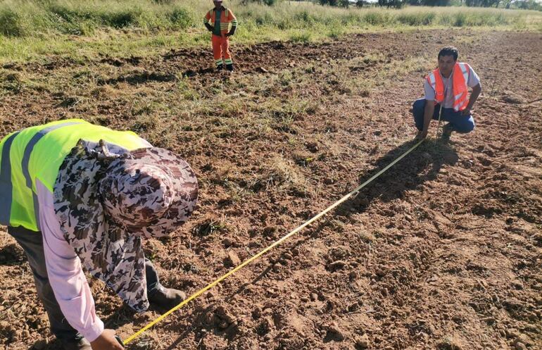 Los plantines son repuestos tras la reconstrucción de tramos de la Ruta Transchaco.