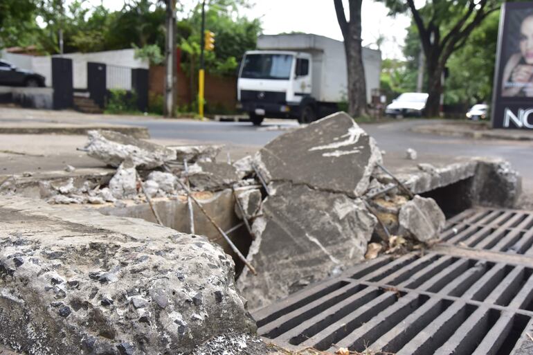 La avenida Guido Boggiani muestra hoy un estado de absoluto abandono.