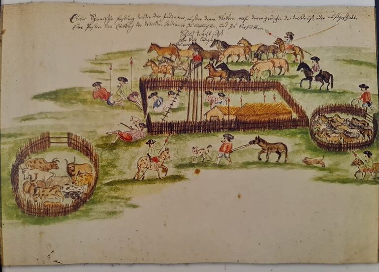 Los perros fueron los primeros animales en ser domesticados por el hombre dice José Luis Cartes. En el grabado de Florián Paucke se observa el protagonismo de los perros y caballos en las labores.