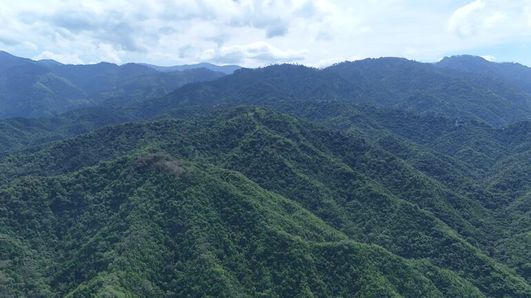 Blue Mountain, Jamaica.