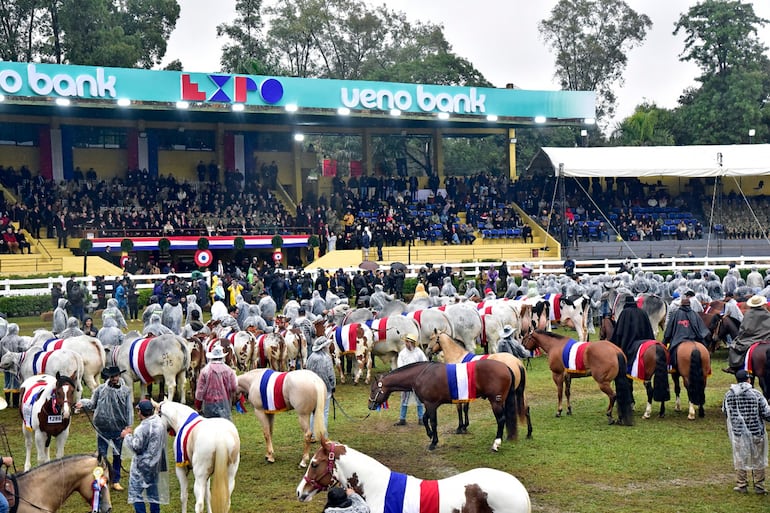 Tras el discurso de las autoridades, desfilaron en campo los grandes campeones de la Expo 2024.