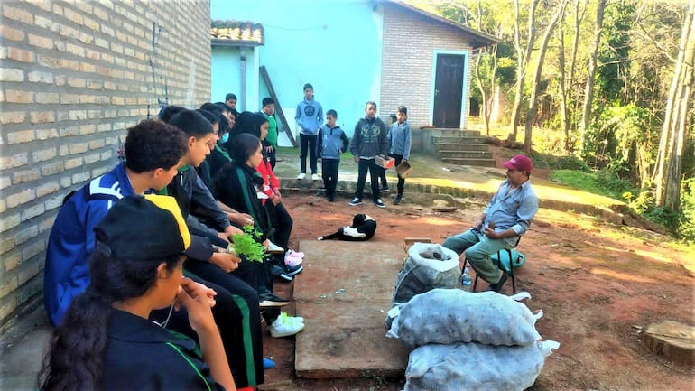 Estudiantes impulsan producción de papa en Yaguarón.