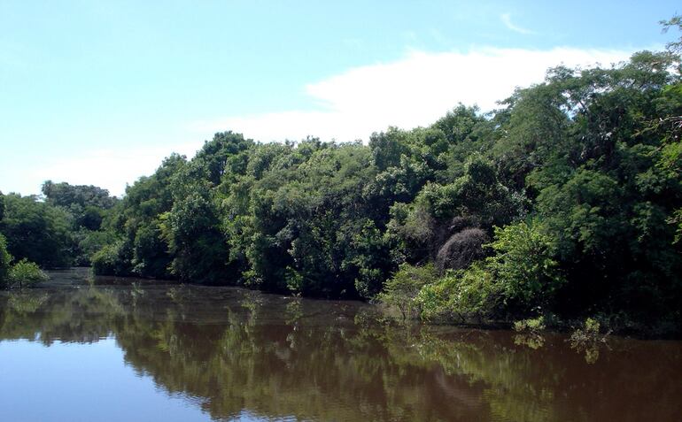 Paraguay cuenta con enormes extensiones de bosques.