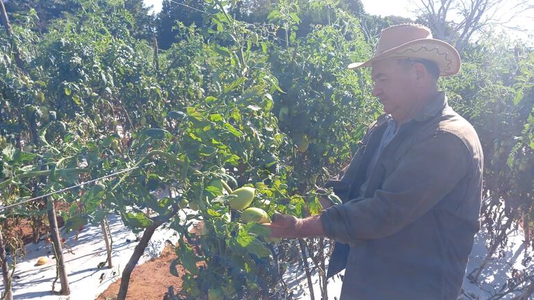 La producción hortícola es un rubro interesante, sostienen trabajadores sampedranos, sobre todo con empleo de mano de obra familiar.