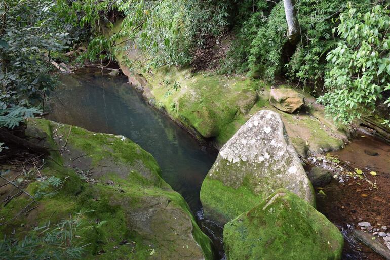 En la zona del Cenote la corriente de agua forma una laguna que invita al chapuzón.