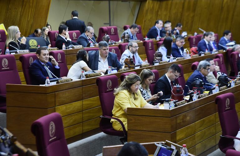 La Cámara de Diputados analizará mañana 13 puntos según figura el orden del día.