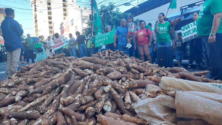 Campesinos llegaron hasta Asunción y trajeron mandioca para regalar para dar muestra de la calidad de sus productos.