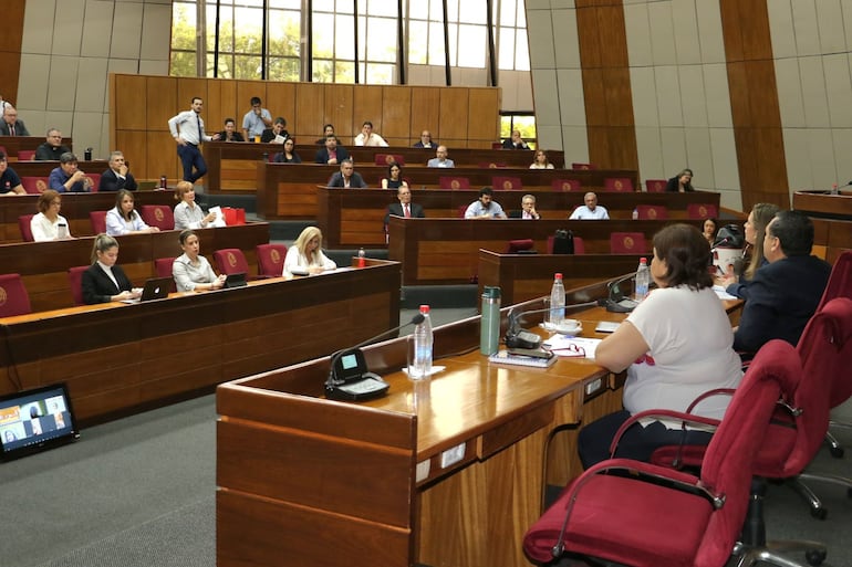 Audiencia Pública para debatir el proyecto de ley cartista de control a ONGs para quedarse con fondos del exterior. (Foto: Prensa Senado)