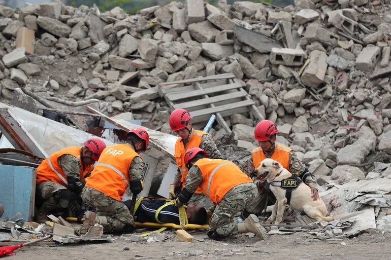 Así es el entrenamiento de los perros de rescate en Perú. 