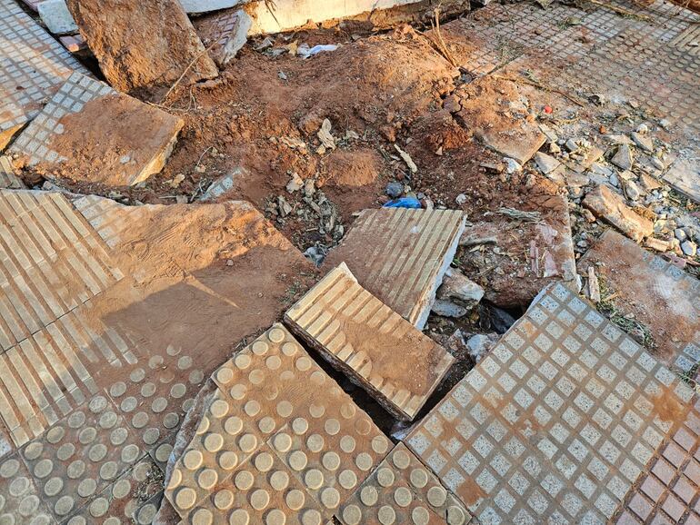 La caída del árbol de Tatarê (Chloroleucon tenuiflorum) levantó las baldosas podotáctiles de uno de los caminos de entrada a la plaza Pedro Juan Caballero.