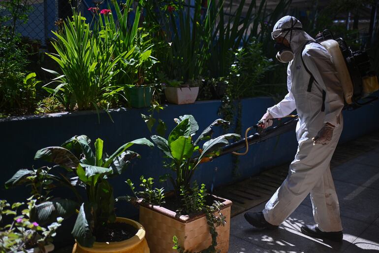 Un trabajador fumiga las plantas al interior de una escuela para prevenir la proliferación del mosquito transmisor del dengue Aedes aegypti.