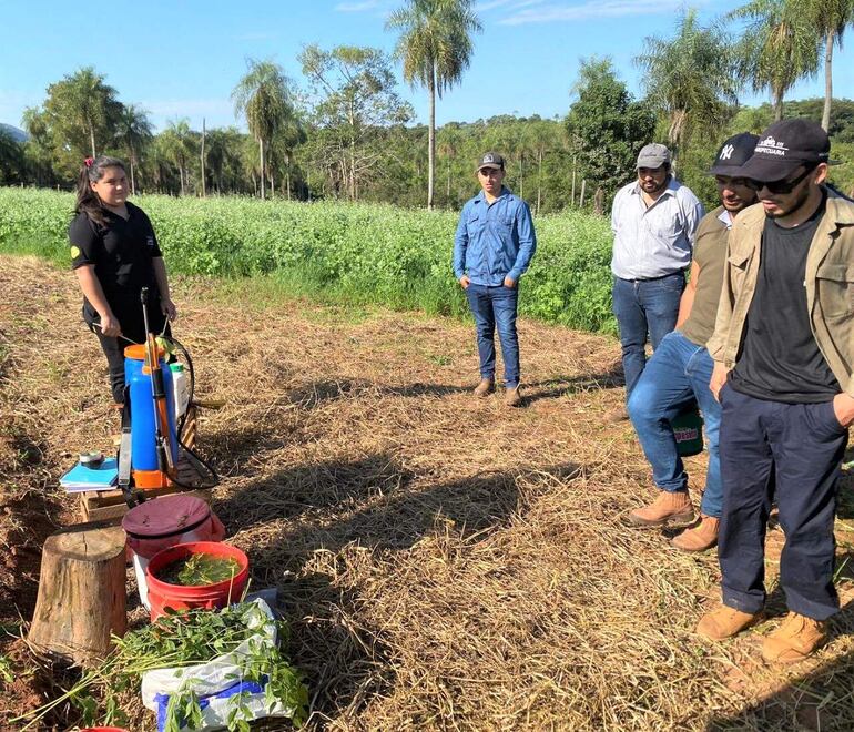 Insisten con siembra directa como alternativa de mejoramiento de suelo y de la producción en San Roque González.