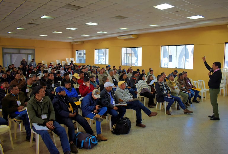 Unos 400 productores participaron del Congreso Nacional de Apicultura y Meliponicultura en Villarrica.