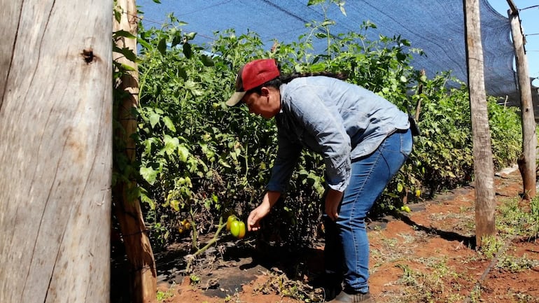 Las mujeres ocupan el 47% de la población rural, según informes.