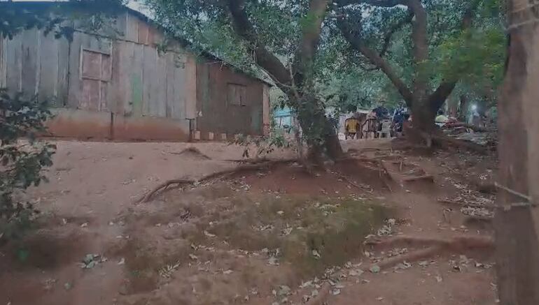 Vivienda donde encontraron más de mil dosis de chespi dentro del tronco de un árbol.