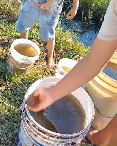 Niños de Villa Hayes recogiendo agua de la cuneta ante la falta de servicio de la ESSAP.