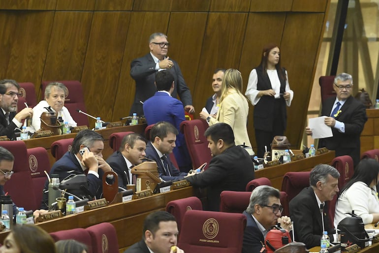 Sesión de la Cámara de Diputados. 