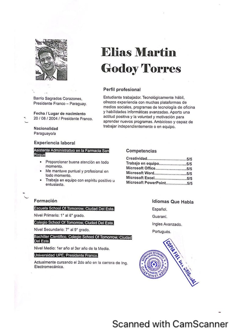 Este es el escueto currículum que presentó Elías Martin Godoy Torres para acceder al cargo de "asesor" en la Cámara de Diputados.