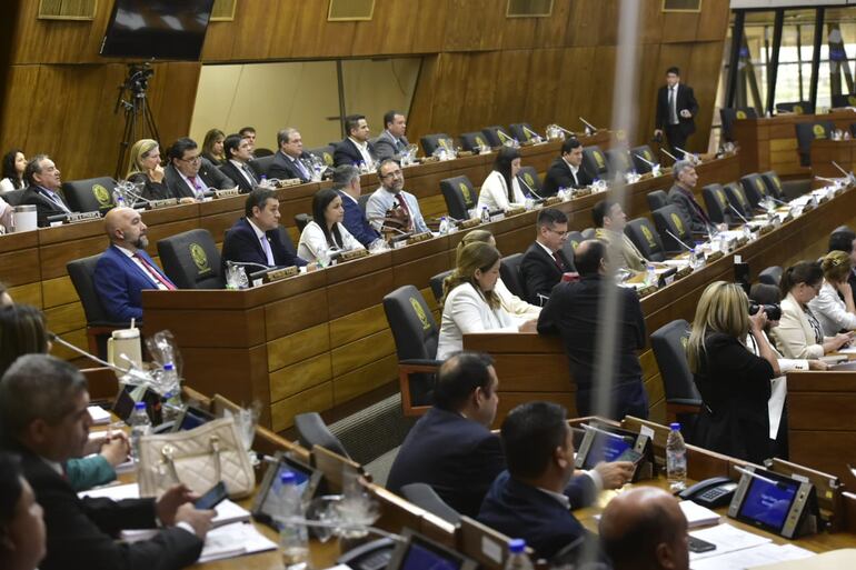 En una sesión extraordinaria que duró a penas 11 minutos, la Cámara de Diputados, con 42 legisladores, sancionó la ley que crea la Superintendencia de Jubilaciones y Pensiones.